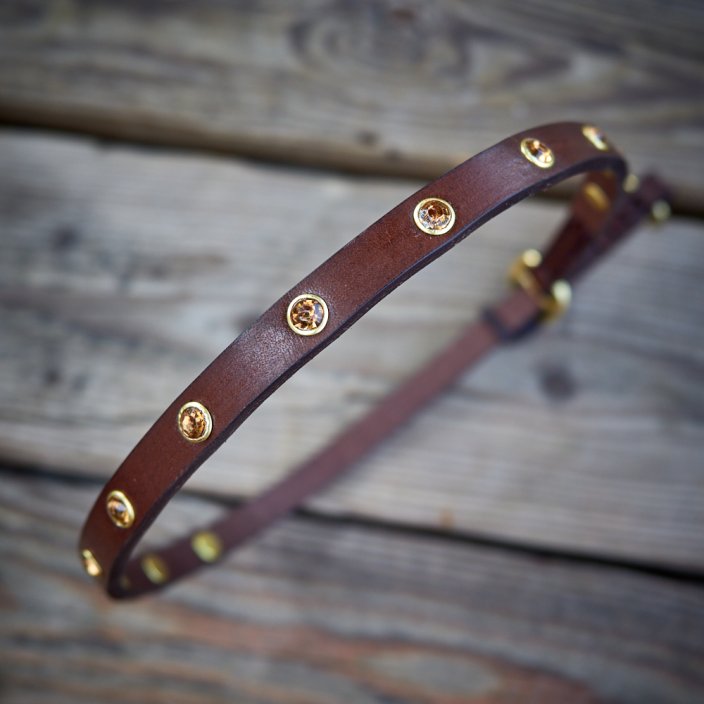 Collar and leash set Glitter Strap Collar and leash set Glitter Strap