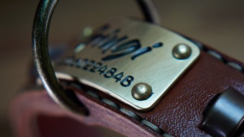 TAG FOR TAG - Navigate Through Chaos Like a Boss!