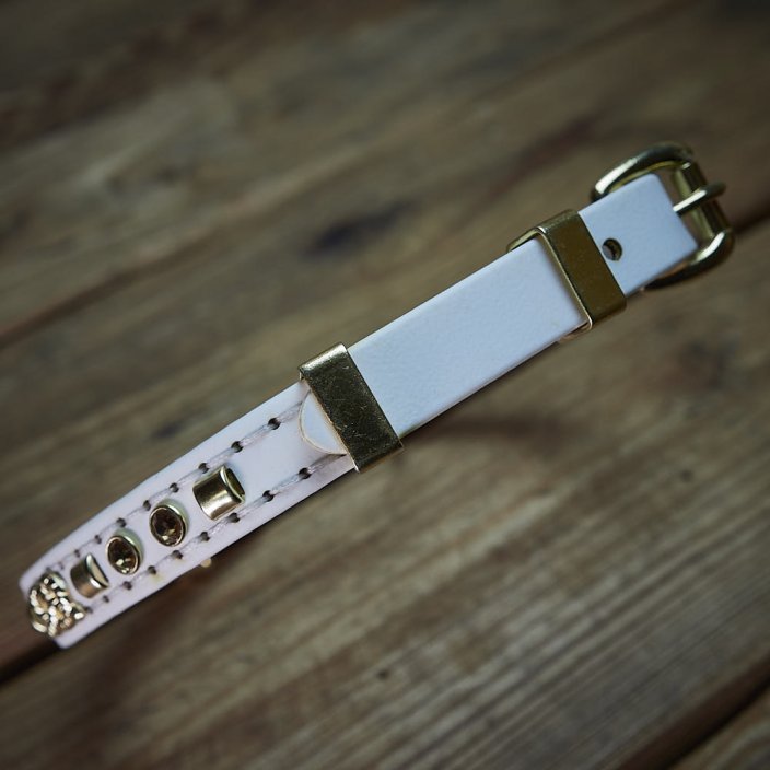 Prestige Kaytech Collar