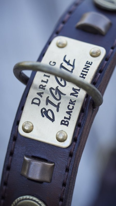 Comment repérer un vrai collier en cuir