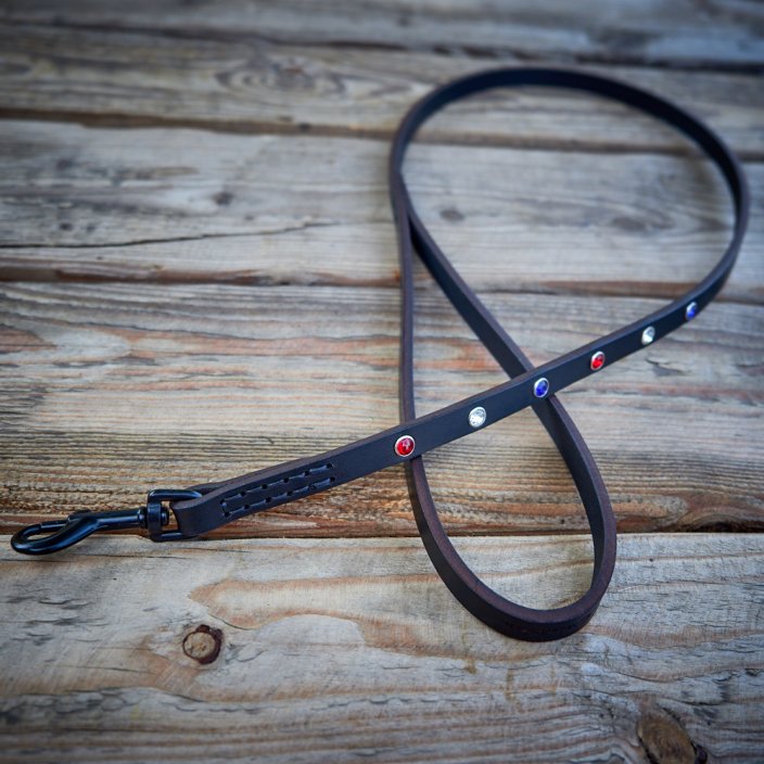 Collar and leash set Glitter Strap