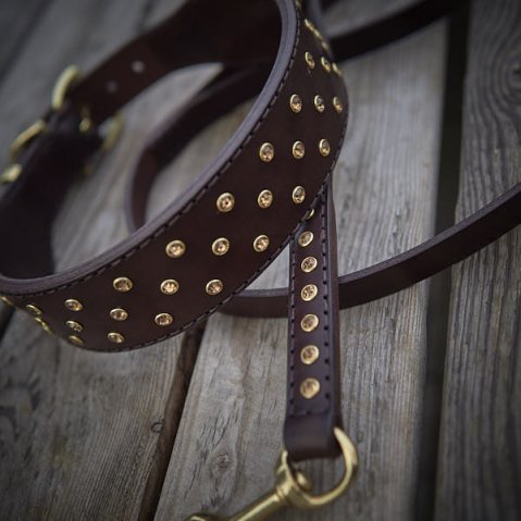 Pourquoi un collier mérite sa laisse assortie