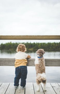 Enfant et chien à la maison : des règles sûres, pas des contes de fées