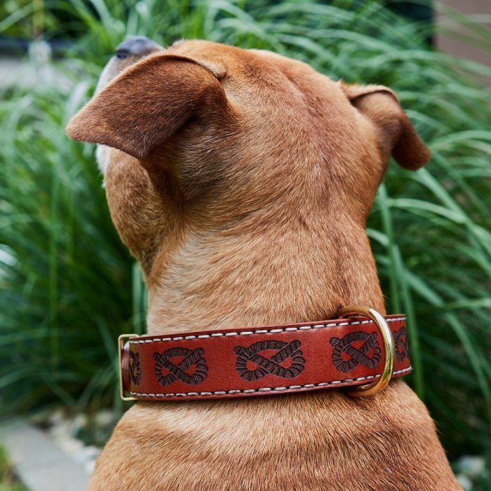Classic Coinage Collar
