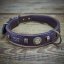 Vintage Paws Slade Czech Collar