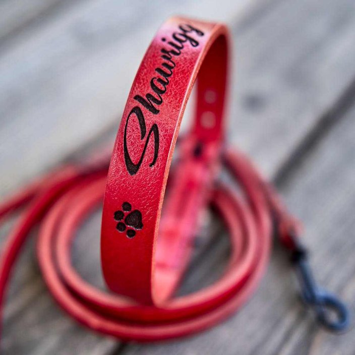 Baby Name Puppy Collar and Lead Set