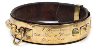 L'histoire des colliers pour chiens : des cordes préhistoriques aux colliers en cuir faits main