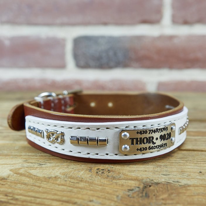 Funky Paws Classic Collar Funky Paws Classic Collar