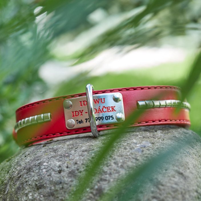 Long Ride Classic Collar