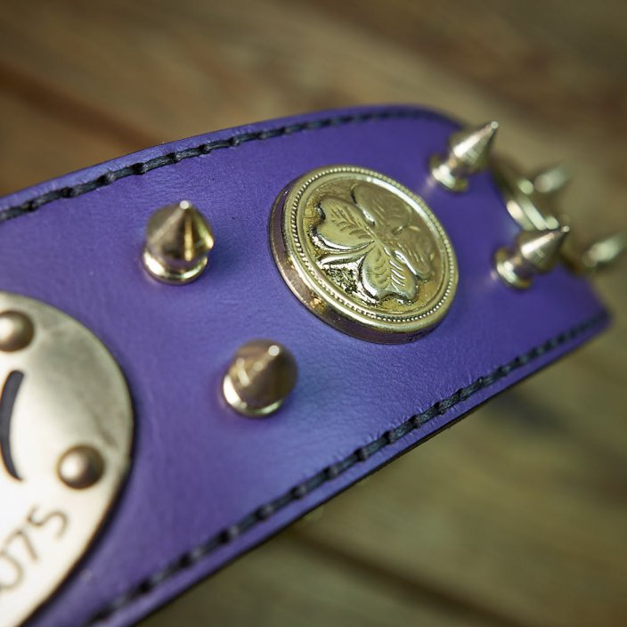 Greyhounds collar Noble Mod Greyhounds collar Noble Mod