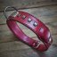 Collier classique Ghost Tracker