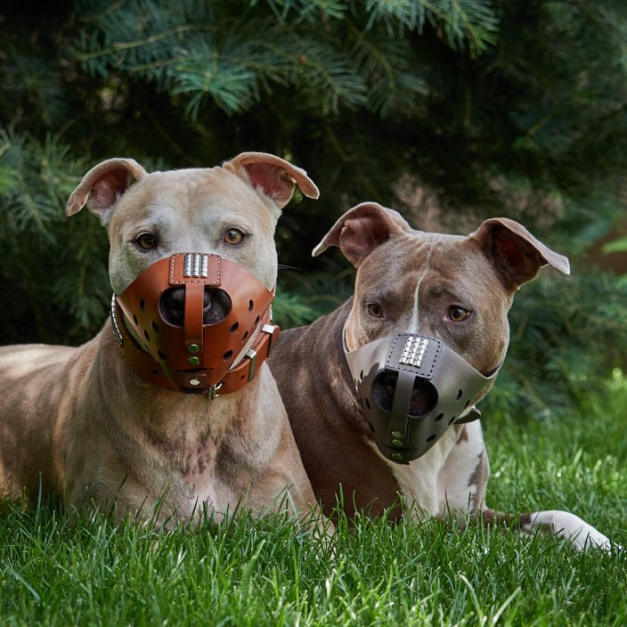 Whisper Muzzle