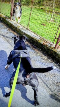 Quand la traction frappe fort : ce qui tient vraiment