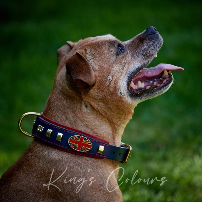 King's Colours Classic Collar King's Colours Classic Collar