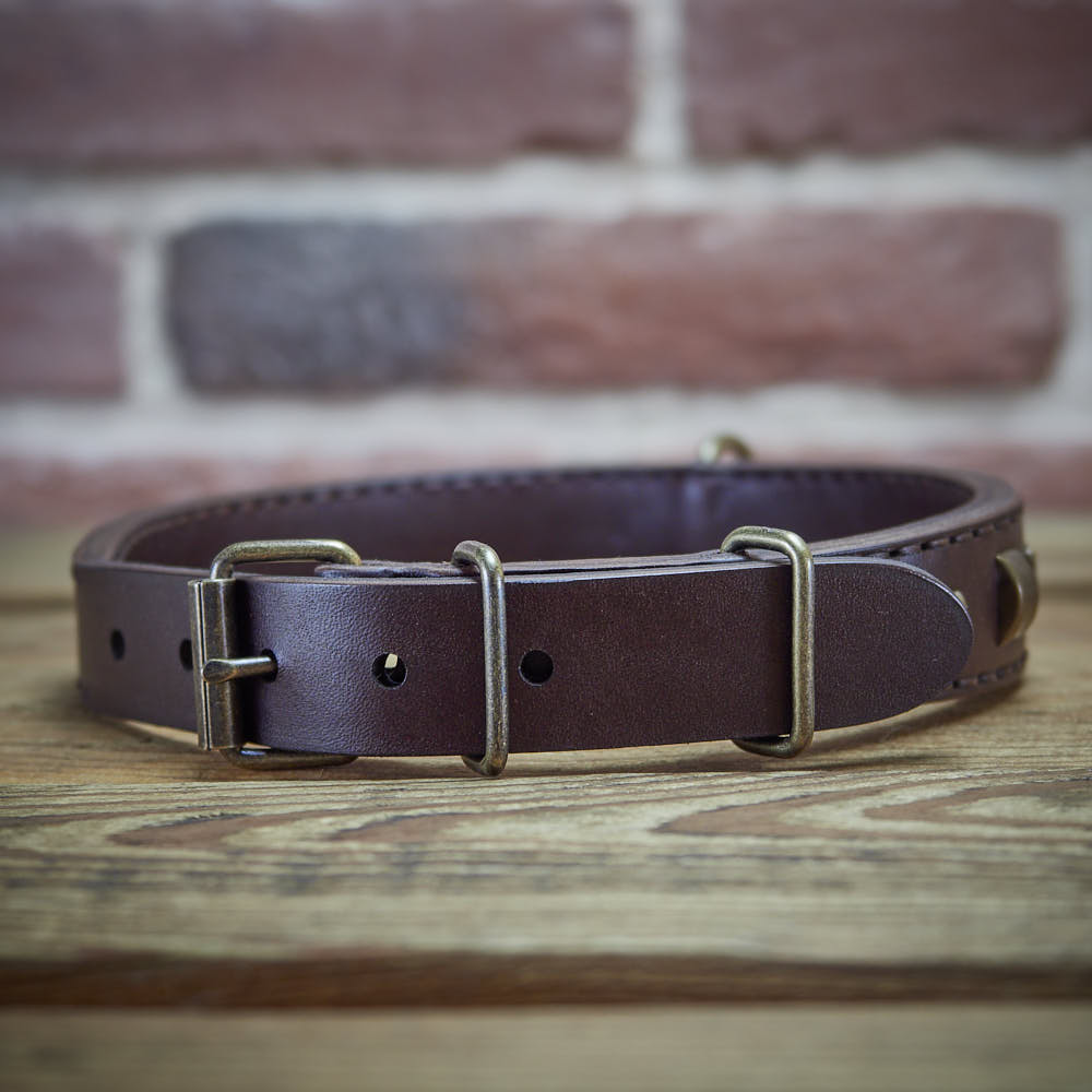 Vintage Paws Slade Czech Retrostyle dog collar.
