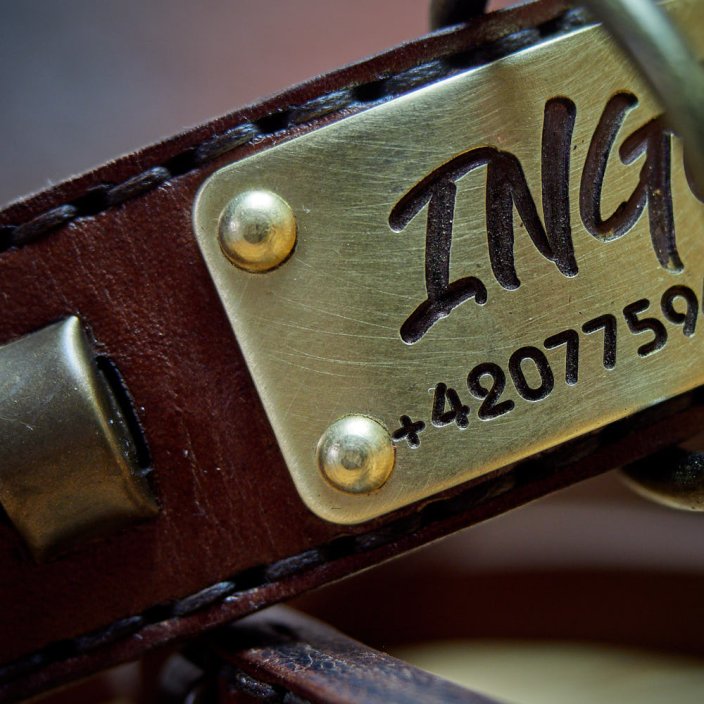 Renegade Classic Collar
