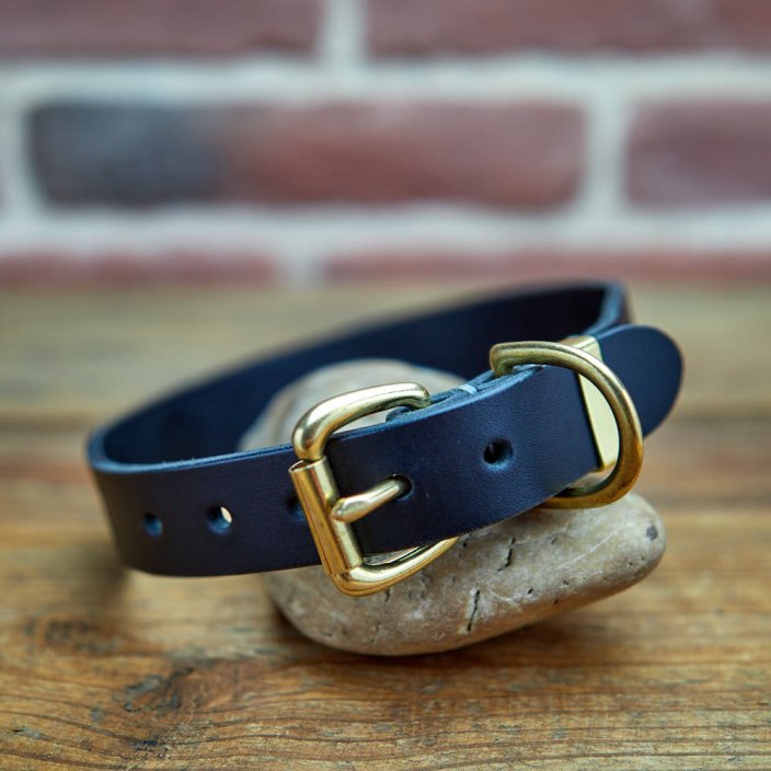 Classic Custom Coinage Collar