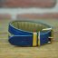 Greyhounds collar Greyhoundsaurus Greyhounds collar Greyhoundsaurus