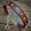 Tough Guy Choker Half Check Collar Tough Guy Choker Half Check Collar