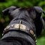 Renegade Classic Collar