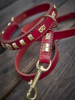 Why Your Dog’s Collar Needs a Matching Leash