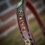 Crystal Glam Half Check Collar Crystal Glam Half Check Collar