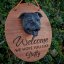 Welcome Doggy Welcome Doggy