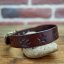 Classic Custom Coinage Collar