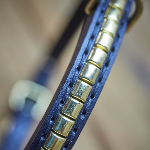 Jak poznat poctivej koženej obojek