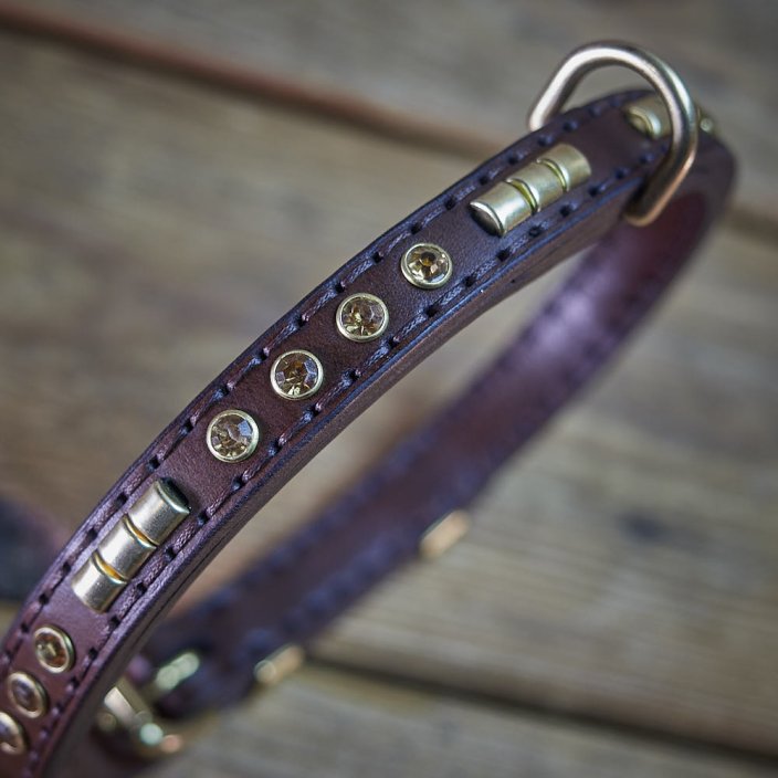 Shiny Alpha Classic Collar