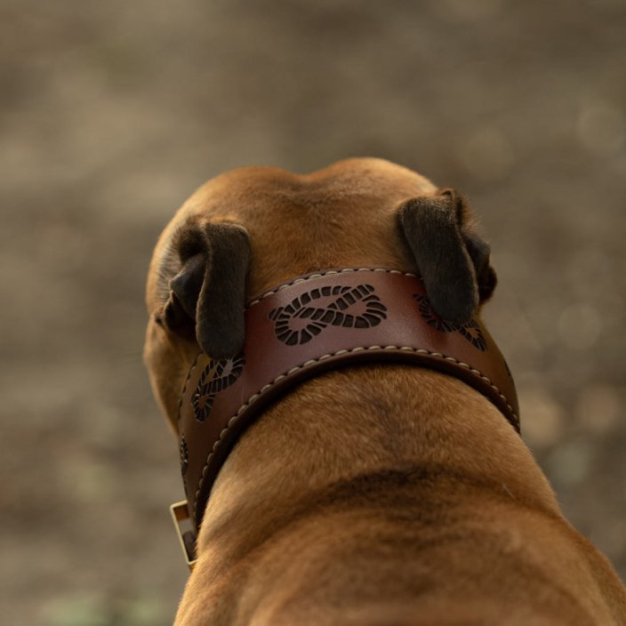 Jolly Jumper Collar Jolly Jumper Collar
