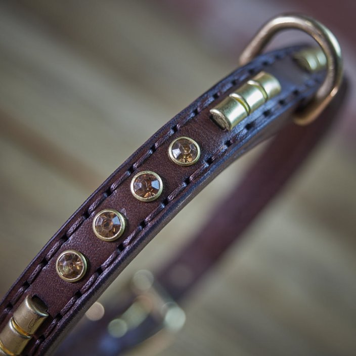 Shiny Alpha Classic Collar Shiny Alpha Classic Collar