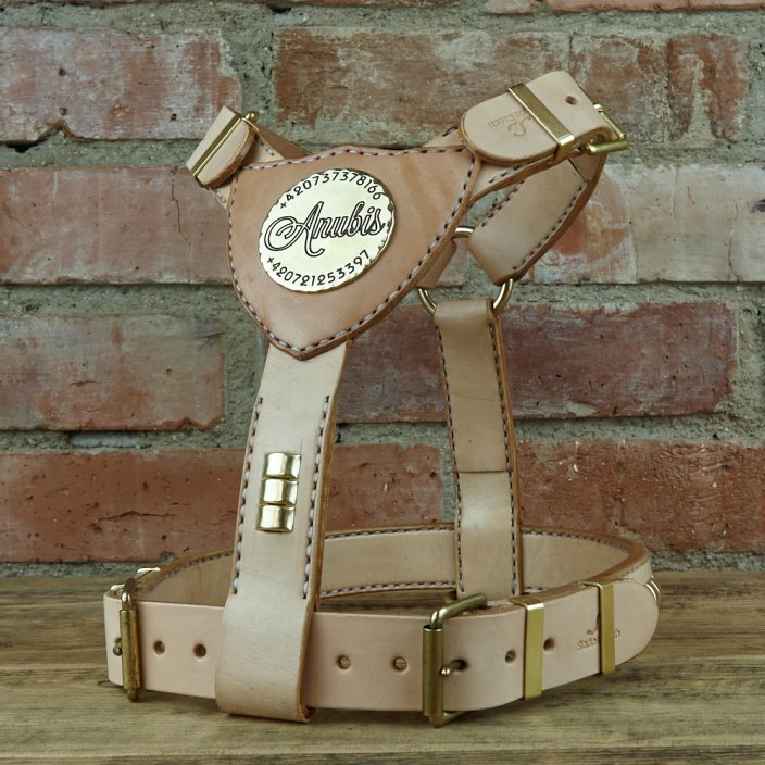 My Hero Harness My Hero Harness