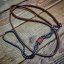 Snake Show Collars
