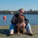 Pourquoi les Pays-Bas adorent le Staffordshire Bull Terrier… et leurs colliers