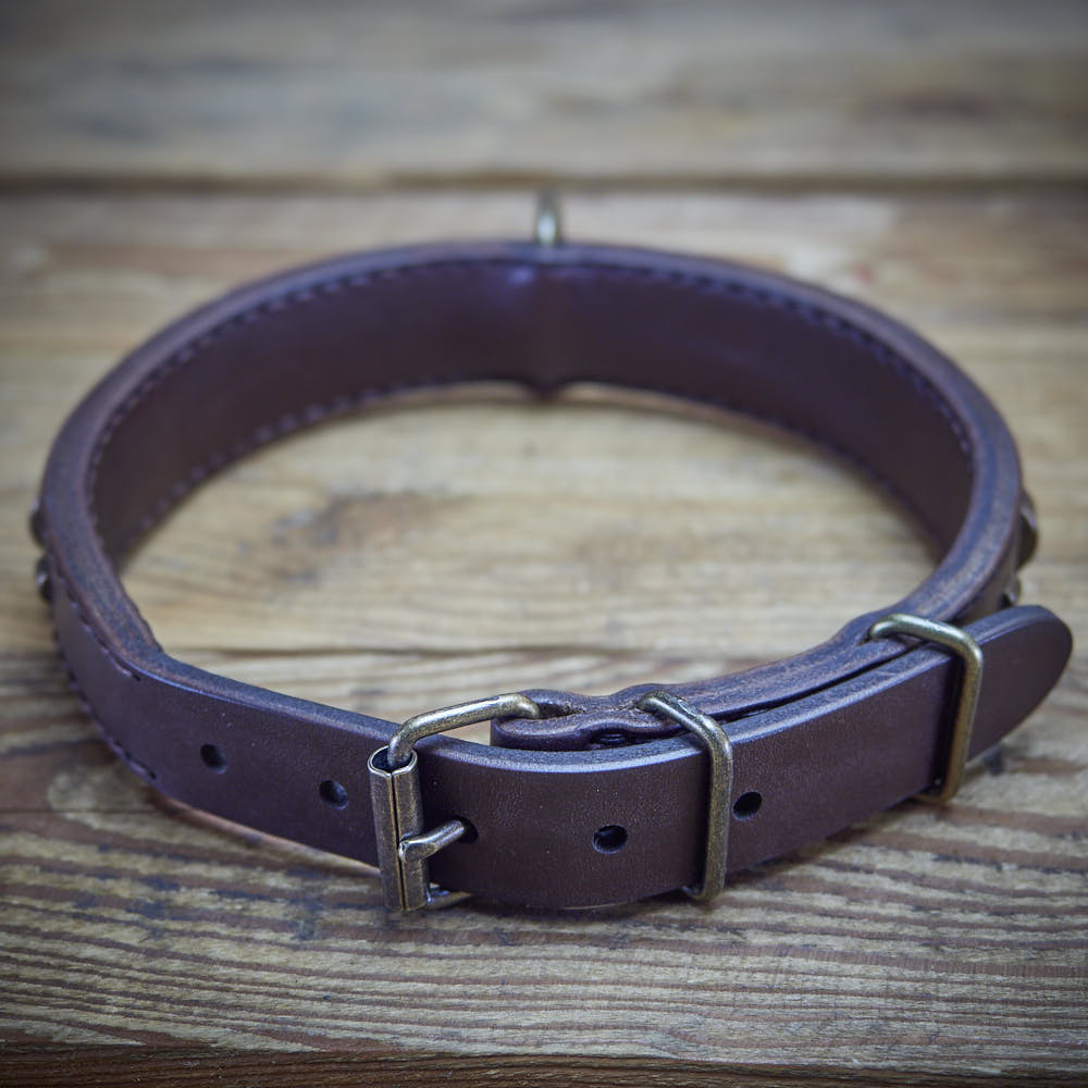 Vintage Paws Slade Czech Retrostyle dog collar.