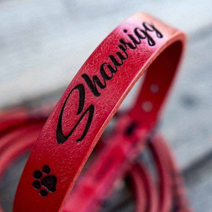 Baby Name Puppy Collar and Lead Set