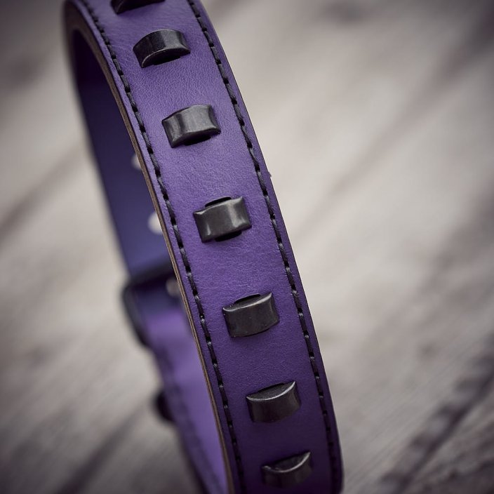 Classic Viking collar