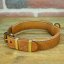 Classic Smart Casual Collar Classic Smart Casual Collar