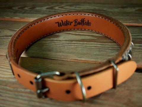 personalised dog collars