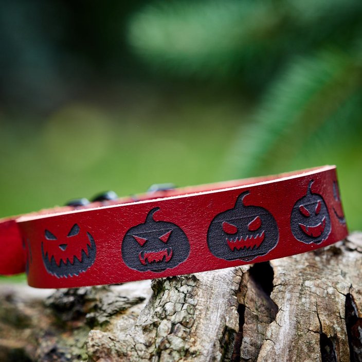halloween collar halloween collar