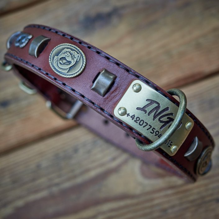 Renegade Classic Collar