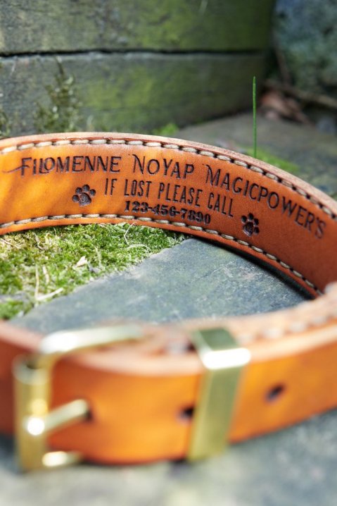 personalised dog collars