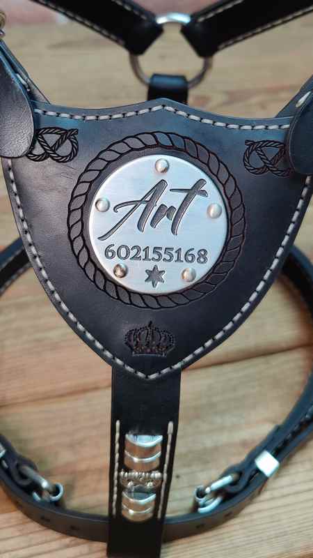 Jak se vyrábí psí postroj ve Slade Czech?