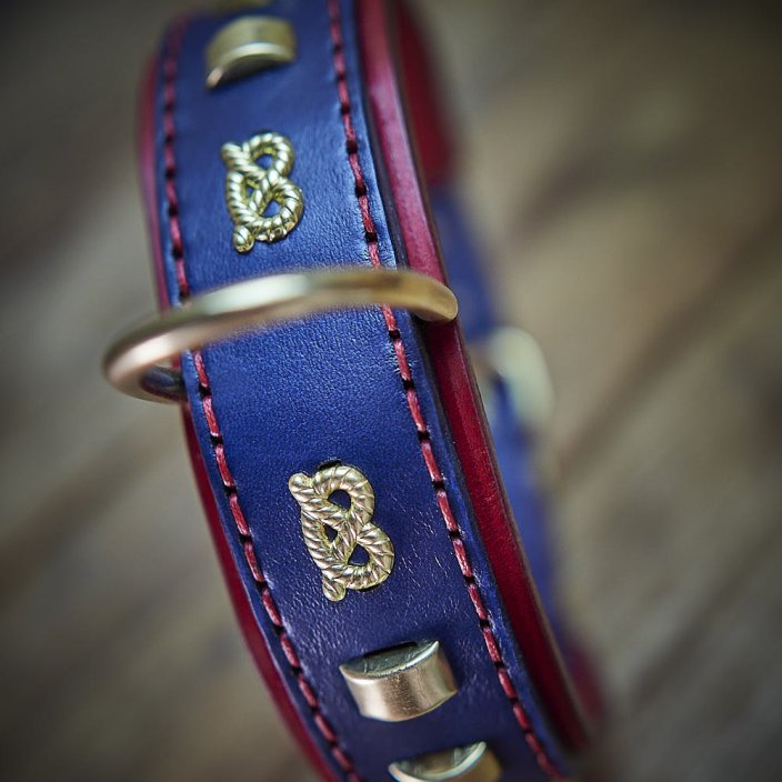 King's Colours Classic Collar