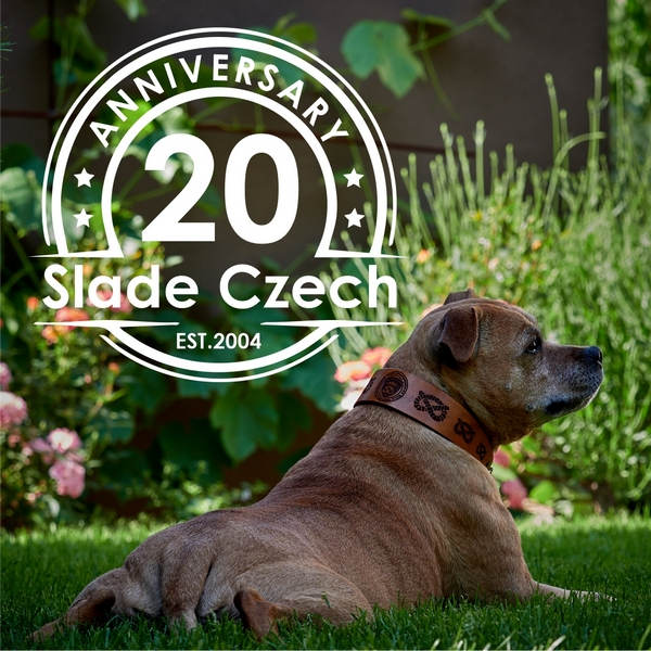 Collars, leashes, accessories Staffie Slade Czech