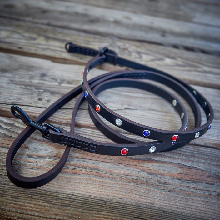 Collar and leash set Glitter Strap Collar and leash set Glitter Strap