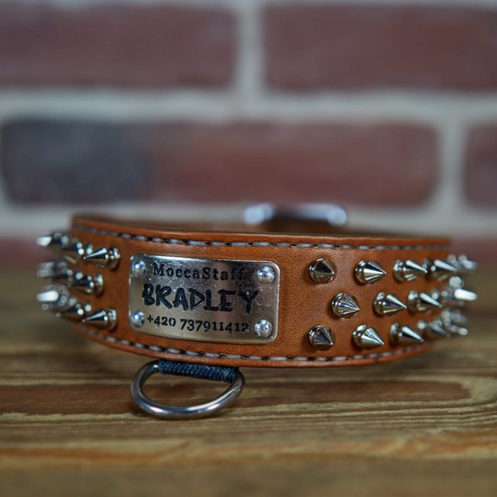 Hardcore Collar Hardcore Collar