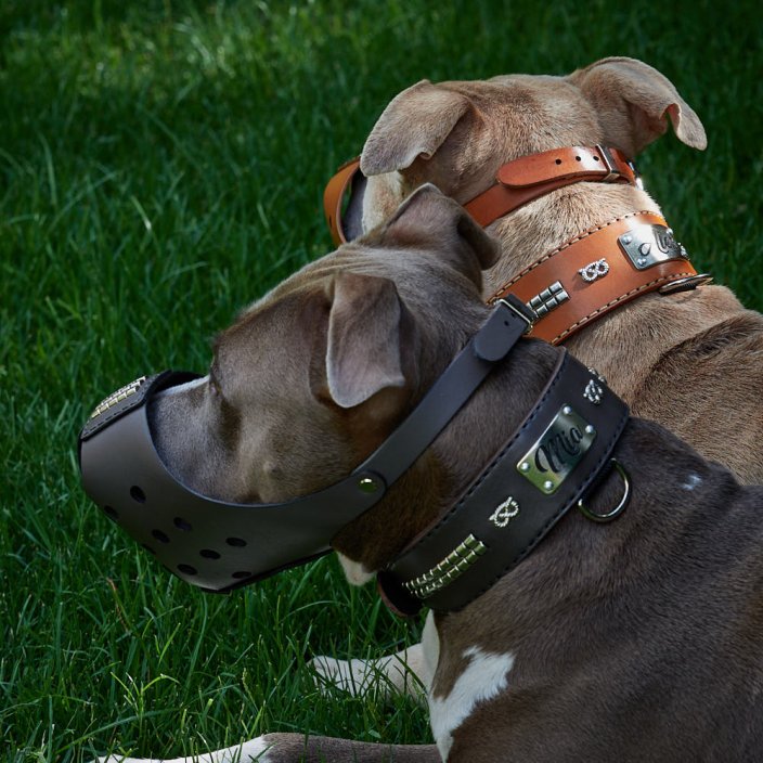 Whisper Muzzle