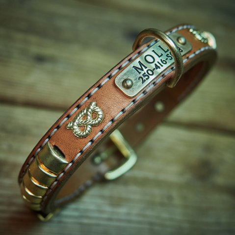 Tient bon, ne tourne pas, ne lâche pas : le collier pour Staffie sans point faible